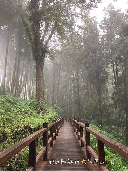 阿里山森林遊樂區