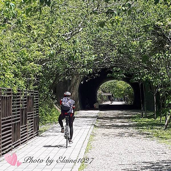 崎頂子母隧道