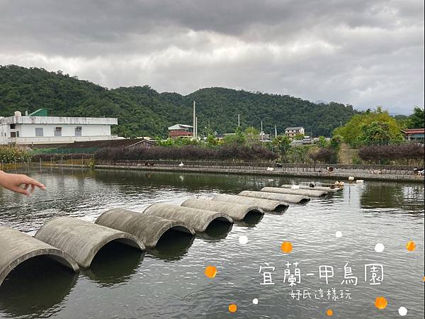 甲鳥園